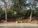 Stone bench nestled in a tranquil, tree-lined setting at 35 Intown Pl, Fayetteville, GA 30214