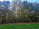 Wooded backyard with grassy area at 1535 Iris Walk, Jonesboro, GA 30238