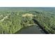 Aerial view of property with pond and surrounding trees at 2371 Leguin Mill Rd, Locust Grove, GA 30248