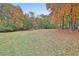 Wooded backyard with autumn leaves at 401 Highway 279, Fayetteville, GA 30214