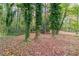 Wooded backyard with leaf covered ground at 2648 Cavalier Dr, Decatur, GA 30034