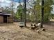 Several pot-bellied pigs in a spacious outdoor pen at 375 Campground Rd, Waco, GA 30182