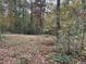 Wooded area behind the property with autumn leaves at 2520 Conley Dr, Cumming, GA 30040