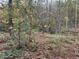 Wooded backyard with overgrown vegetation at 2520 Conley Dr, Cumming, GA 30040