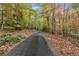 Long driveway leading to a home through a wooded area at 220 Spring Branch Dr, Canton, GA 30115