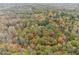 Wide shot of homes surrounded by autumn trees at 220 Spring Branch Dr, Canton, GA 30115