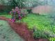 Backyard with blooming rose bushes and lush green ground cover at 10880 Pinewalk Forest Cir, Alpharetta, GA 30022