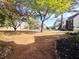 Landscaped front yard with a view of neighboring homes at 2654 Calumet Farm Ln, Snellville, GA 30039
