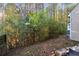 Wooded backyard with a natural, private feel at 6677 Sunset Hills Blvd, Rex, GA 30273