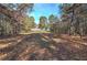 Large backyard with wooded area at 29 Hickory Forest Nw Ln, Kingston, GA 30145