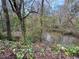 A tranquil creek flows through a wooded area at 450 High Creek Trce, Roswell, GA 30076