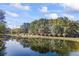 Calm pond with geese, surrounded by trees at 3520 Tom Brewer Rd, Loganville, GA 30052