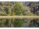 Calm pond with geese and a wooded backdrop at 3520 Tom Brewer Rd, Loganville, GA 30052