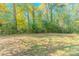 Wooded backyard with grassy area at 3464 Linecrest Rd, Ellenwood, GA 30294