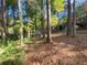 Wooded backyard with storage shed and privacy fence at 5343 Highway 5, Douglasville, GA 30135