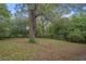Large backyard with mature trees and open grassy area at 6650 Queen Mill Se Rd, Mableton, GA 30126
