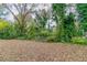 Large backyard with dense vegetation providing a natural, secluded feel at 2229 Whites Mill Rd, Decatur, GA 30032