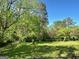 Private backyard surrounded by trees offering shade and seclusion at 2962 Mcafee Rd, Decatur, GA 30032