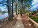 Peaceful lakeside walkway shaded by tall pines at 358 Lake Forest Ct, Lawrenceville, GA 30043