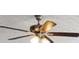Close-up of a ceiling fan at 909 Galloway Ct, Mcdonough, GA 30253