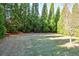 Landscaped backyard with mature trees and privacy hedges at 650 Hemlock Trl, Canton, GA 30114