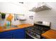 Modern kitchen with stainless steel appliances and blue cabinets at 215 Piedmont Ne Ave # 1905, Atlanta, GA 30308