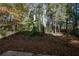Wooded backyard with a mostly bare ground at 894 Churchill Ct, Stone Mountain, GA 30083