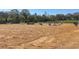 Expansive sand arena with jumps and obstacles at 2431 Perkerson Mill Rd, Austell, GA 30106