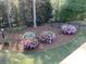 Landscaped backyard with azaleas and pine straw at 1713 Wheatstone Dr, Grayson, GA 30017