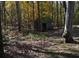 Small shed nestled in the woods at 5673 Yorktown Rd, Douglasville, GA 30135