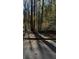 Wooded lot with mature trees and a paved road at Lot 15 Fairview Springs Dr, Ellenwood, GA 30284