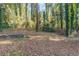 Sloping backyard with stone retaining wall and trees at 2196 Swallow Se Cir, Atlanta, GA 30315