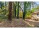 Wooded backyard with sloping terrain and trees at 2196 Swallow Se Cir, Atlanta, GA 30315