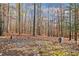 Wooded lot with a cleared homesite and utilities at 291 Miquel Jorge Ln, Canton, GA 30115