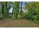 Wooded backyard view with mature trees and lush foliage at 1642 Cecilia Se Dr, Atlanta, GA 30316
