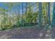 Wooded backyard with tree coverage and leaves at 2076 Scarbrough Dr, Stone Mountain, GA 30088