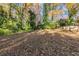 Spacious backyard with mature trees and a large grassy area at 2683 Rockcliff Se Rd, Atlanta, GA 30316