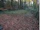 Overgrown backyard with leaf-covered ground and a fence at 4922 Rock Springs Rd, Lithonia, GA 30038