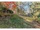Wooded backyard with a sloped grassy area at 271 Kings Walk, Douglasville, GA 30134