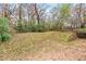 Sloping backyard with a mix of grass, trees, and fallen leaves at 966 Romer Pl, Stone Mountain, GA 30083