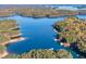 Aerial view of lakefront property with beautiful fall foliage at 3390 Hillshire Dr, Cumming, GA 30028