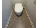 Modern toilet and wood-look tile flooring at 504 Overlook Rd, Covington, GA 30052
