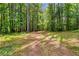 Open area in a wooded area with dappled sunlight at 3403 Nebo Rd, Dallas, GA 30157