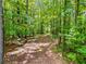 Pathway winding through a dense, green forest at 3403 Nebo Rd, Dallas, GA 30157