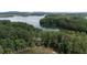 Aerial view of a secluded lakefront property at 3200 Rim Cove Dr # 186, Cumming, GA 30041