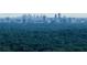 Atlanta skyline view through trees at 300 Johnson Ferry Rd # B802, Atlanta, GA 30328
