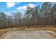 Large backyard with a concrete pad and wooded area at 147 Stargaze Rdg, Canton, GA 30114