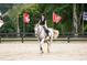 Equestrian rider on a gray horse in a riding arena at 531 S Main St # 410, Alpharetta, GA 30009