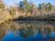 Serene pond reflecting the surrounding trees at 595 S Mount Carmel Rd, Mcdonough, GA 30253