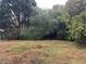 Overgrown backyard with trees, grass and a chain-link fence at 125 Belmont Farms Dr, Ellenwood, GA 30294
